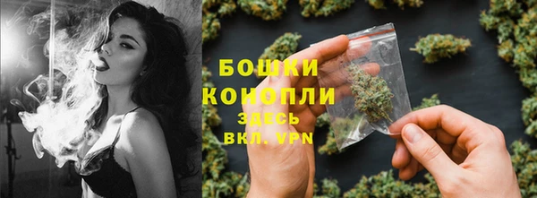 винт Абаза