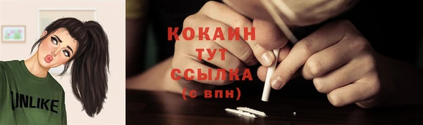 винт Абаза