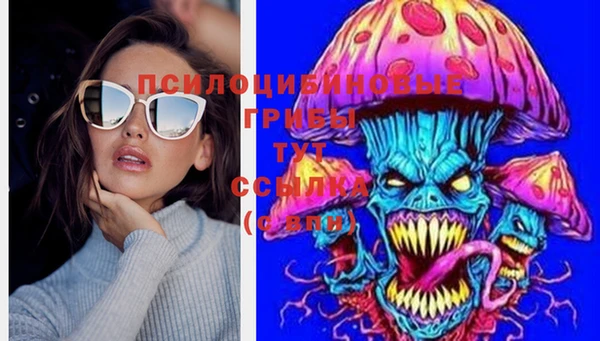 винт Абаза