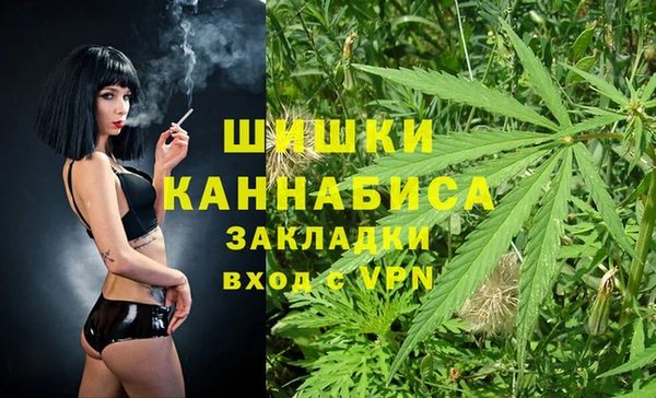 винт Абаза