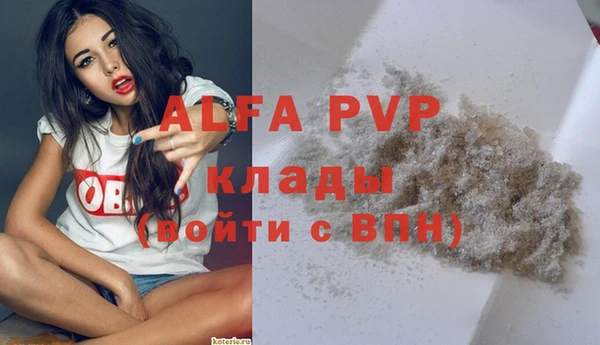круглые Пересвет
