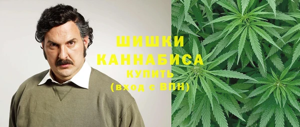 круглые Пересвет