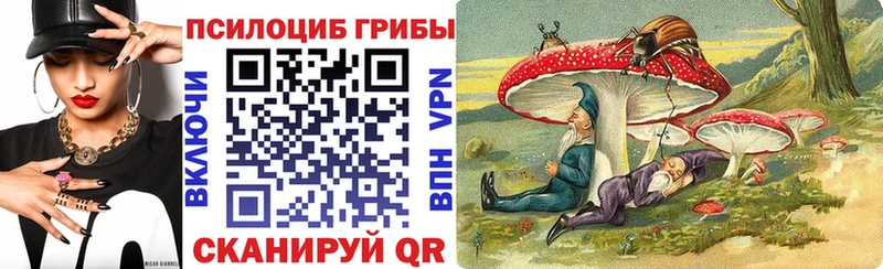 Псилоцибиновые грибы Magic Shrooms  Черногорск 